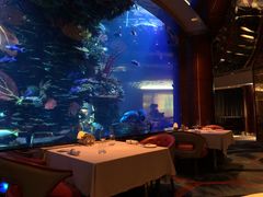 -迪拜帆船酒店海底餐厅