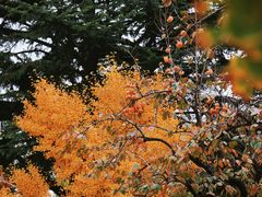 -北京石刻艺术博物馆(五塔寺)