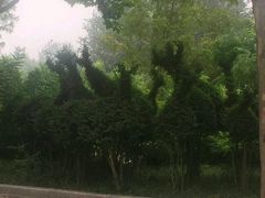 -石家庄市动物园