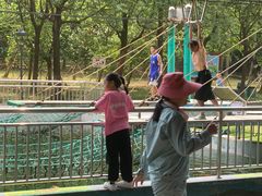 -广东茂名森林公园