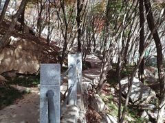 -崂山巨峰游览区
