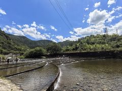 -芦茨金富饭庄·25年老字号·专做稻草鸡