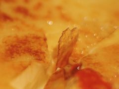 -普兰达德国餐厅·德式脆皮烤猪肘·自酿啤酒(观唐店)