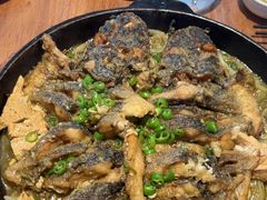 -老板恋上鱼(恒隆广场店)