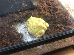 -藦茜花园宠物主题亲子互动体验馆(国顺东路店)