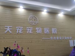 -天宠宠物医院24小时·急重症诊疗中心·全科·腔镜特色(和平分院)