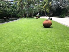 -三亚湾海居铂尔曼度假酒店