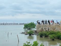 -宝安西湾红树林湿地公园