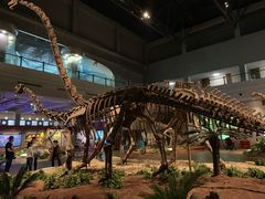 -自贡恐龙博物馆