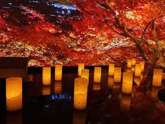 -地球美食剧场