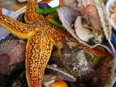 小海鲜一筐-全渔村小海鲜