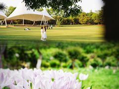 -石家庄市植物园