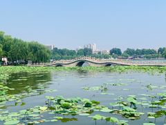 -济南大明湖景区