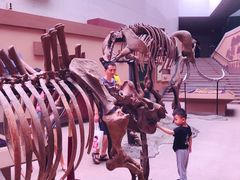 -陕西自然博物馆