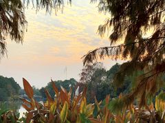 -艾溪湖湿地公园