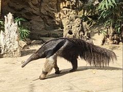 -长鹿旅游休博园