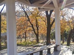-南京老山国家森林公园