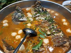 胖头鱼清辣味-漳河青花椒鱼头火锅