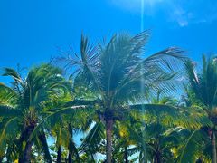 -三亚西岛海洋文化旅游区