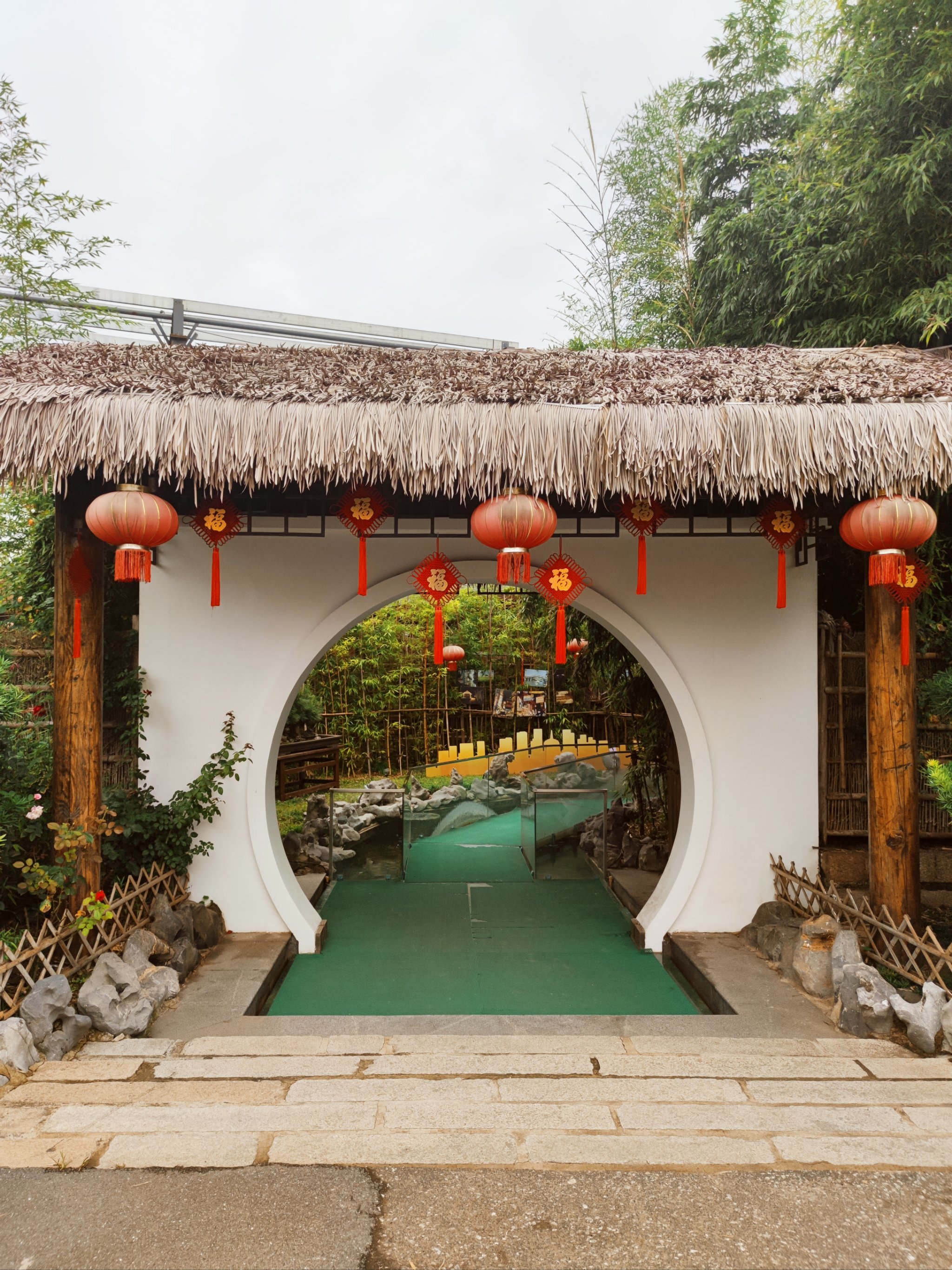 心中的那朵白莲花