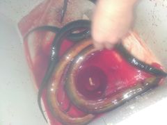 -众彩物流水产市场