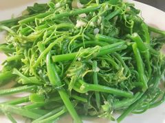 -新侗家食府(蟠桃宫店)