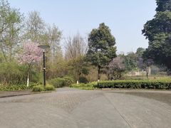 -重庆彩云湖湿地公园