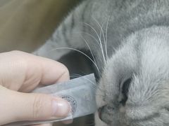 -爱佳宠物中心医院24H·CT·骨外科·猫专科(瑶海万达店)