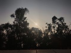 -宝安西湾红树林湿地公园