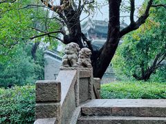 -韩湘水博园