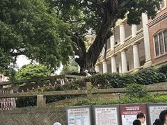 -八卦楼风琴博物馆