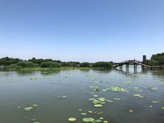 -白洋淀景区