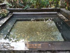 -厦门日月谷温泉渡假村