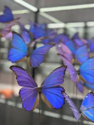 -酷嗒动物文化乐园(cutezoo西溪乐天城店)