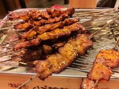 -福苗小骆驼烧烤(莲湖路店)
