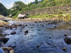 -北仑森林植物园