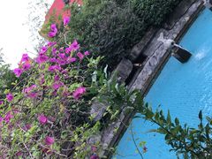 -杭州第一世界大酒店·云曼温泉