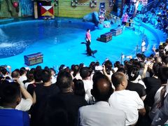 -烟台海昌鲸鲨海洋公园