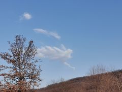 -老山国家森林公园