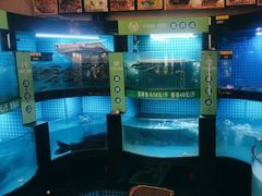 -千岛湖小鱼儿·淳安匠心农家菜