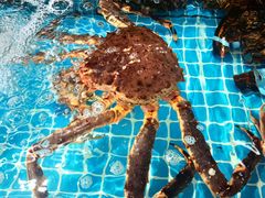 -琼大师东方烤乳猪(亚特兰蒂斯店)