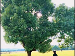 -山明水秀大饭店