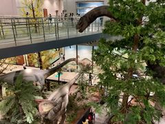 -湖南省地质博物馆