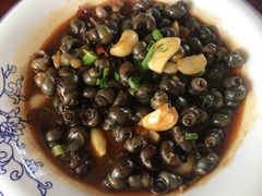 炒螺蛳-杨辉饭店