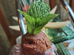 紫苏流行果-皇马假日醉海南大酒店·假日一品派茶楼(秀英店)