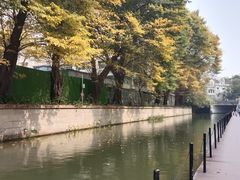 -荔湾湖公园