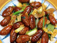-一坐一忘云南菜(三里屯店)