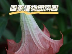 -国家植物园南园