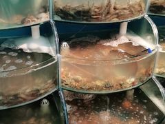 -同道蒸汽海鲜烧烤自助(刘庄夜市店)
