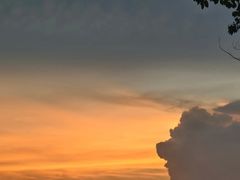 -海事大学图书馆(临港校区)